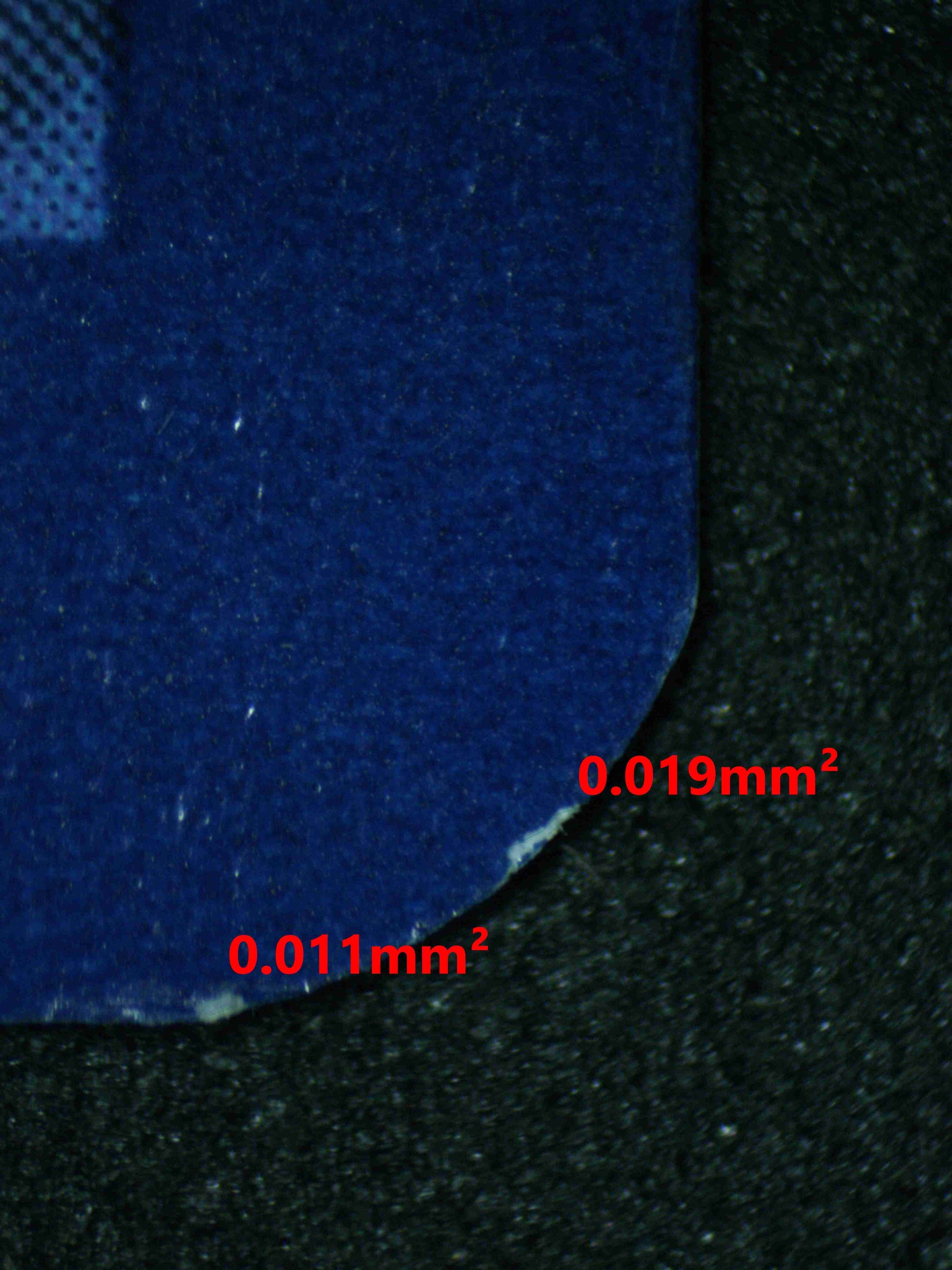 06430 WARTORTLE (JAPANESE) Grading Card