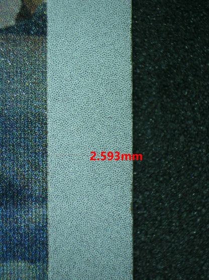 06430 WARTORTLE (JAPANESE) Grading Card