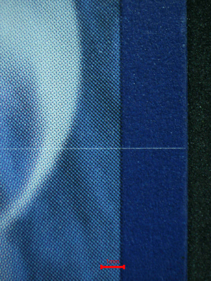 06436 WALKING WAKE EX Grading Card