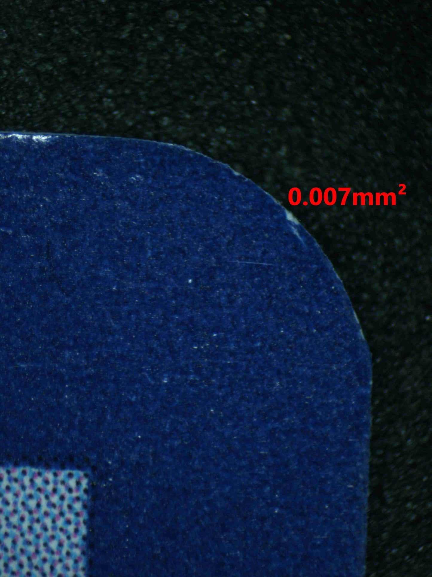 06436 WALKING WAKE EX Grading Card