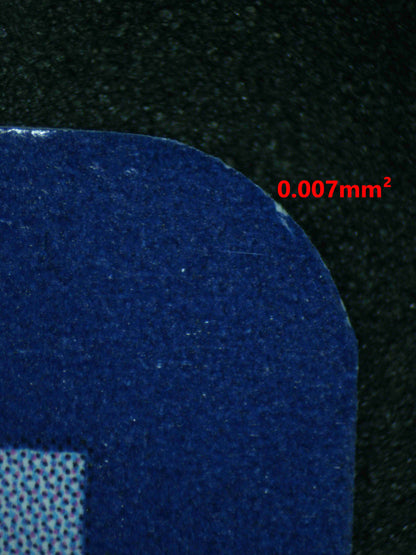 06436 WALKING WAKE EX Grading Card