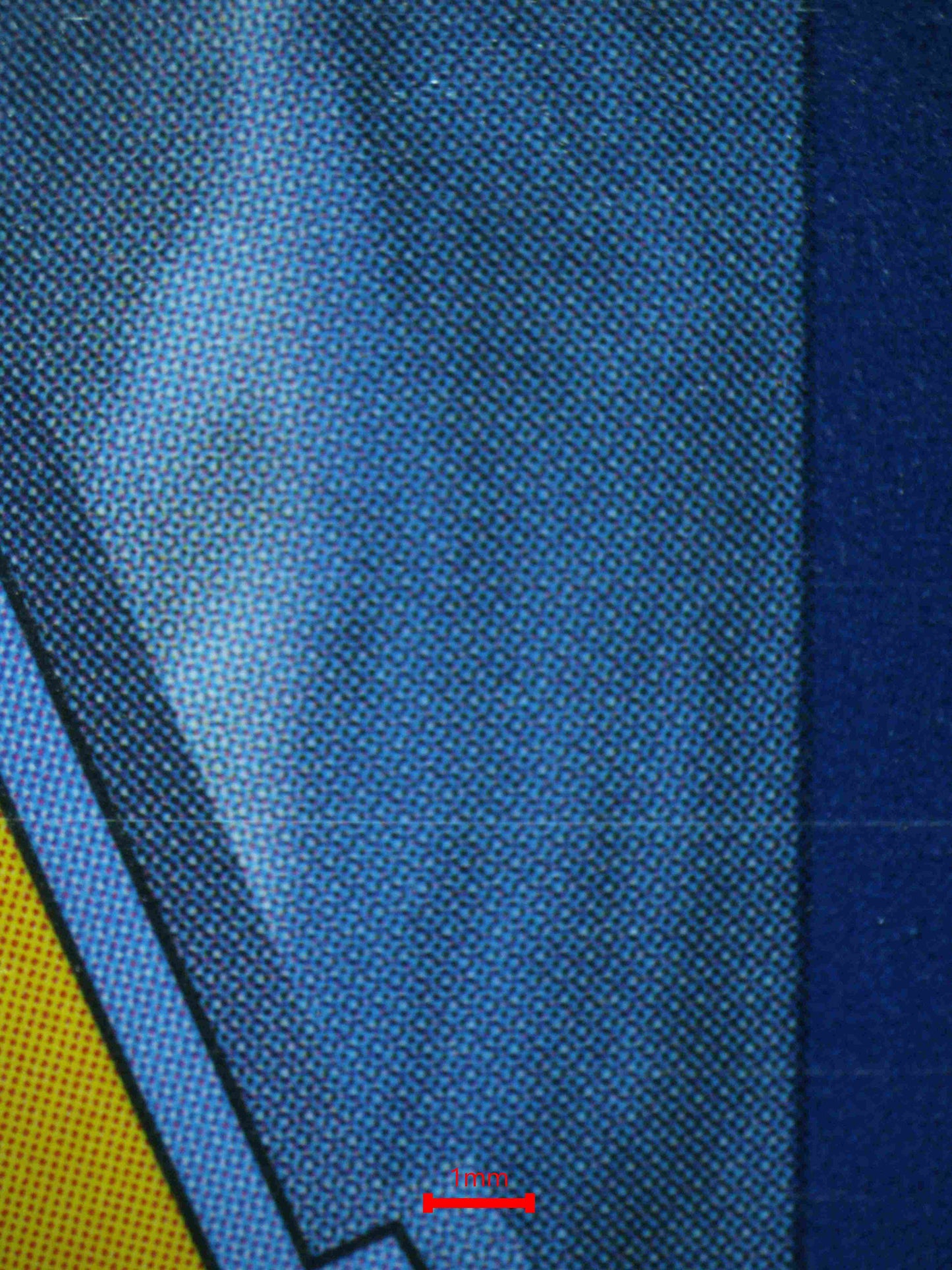 06438 HOP'S WOOLOO Grading Card