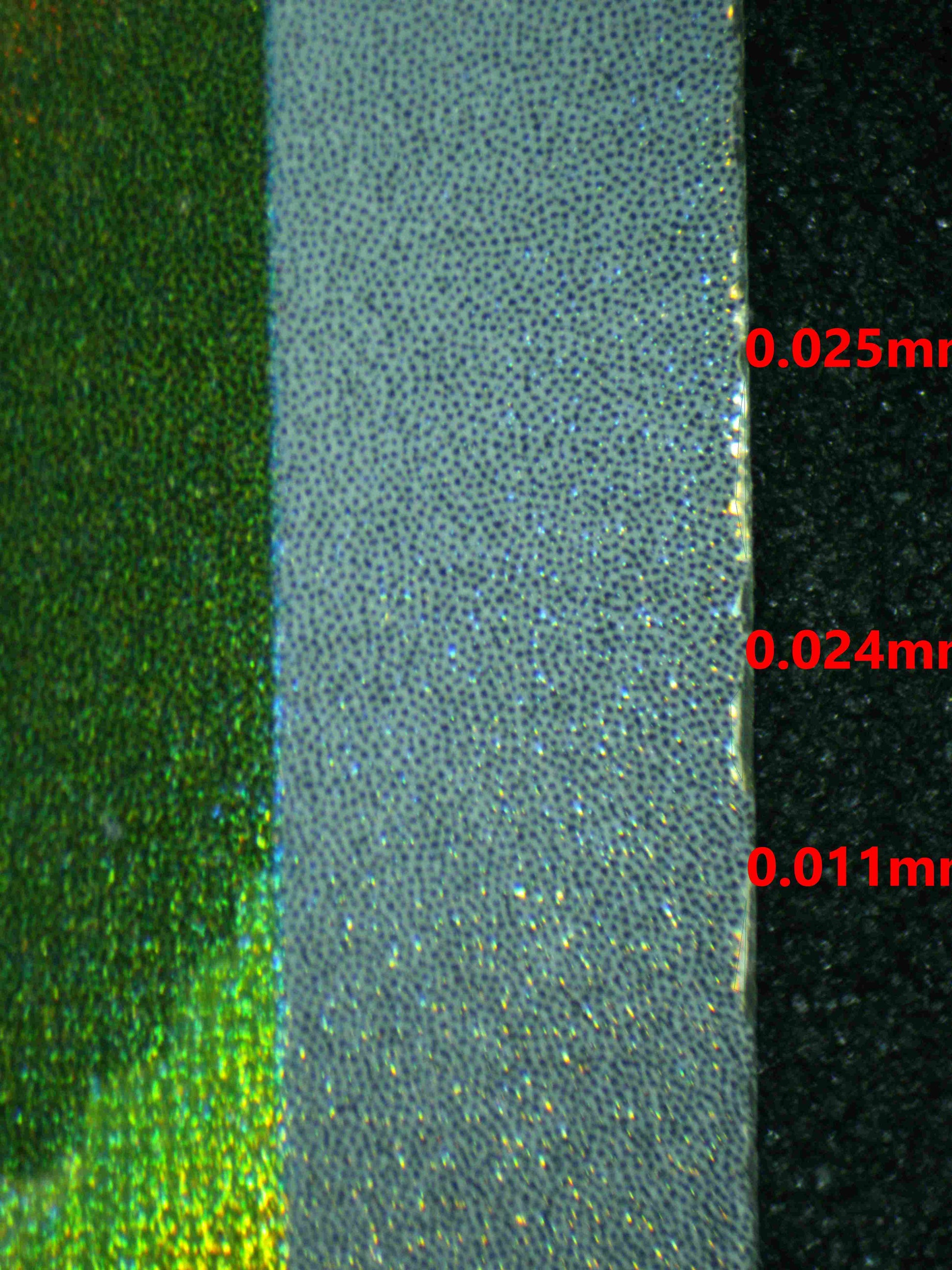 06438 HOP'S WOOLOO Grading Card