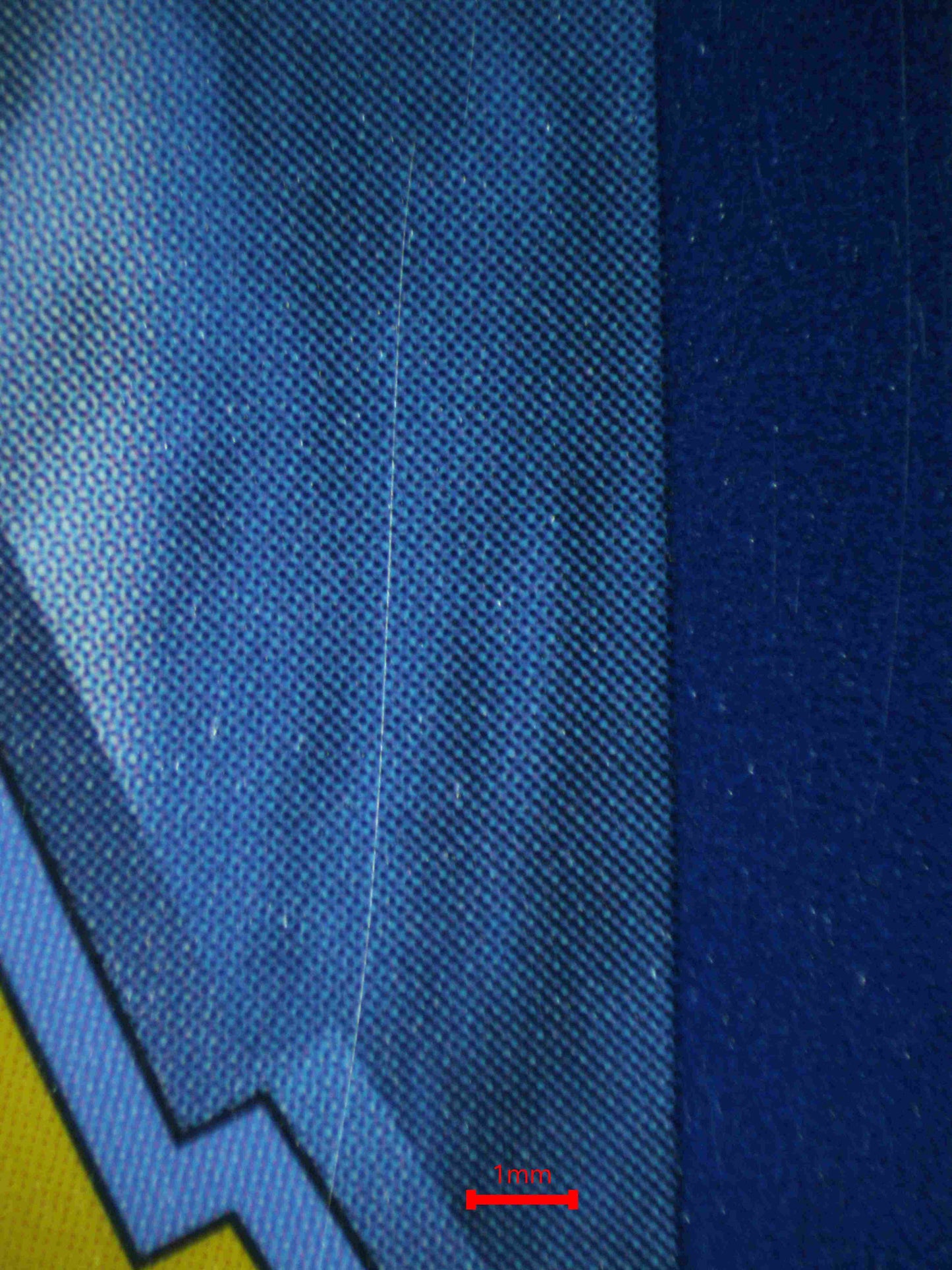 06439 LISIA'S APPEAL Grading Card