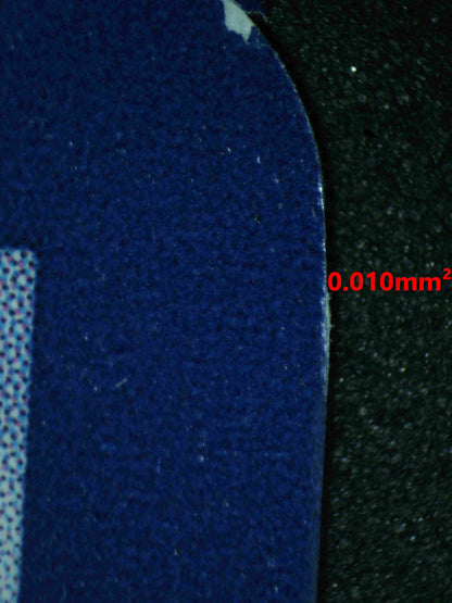 06439 LISIA'S APPEAL Grading Card