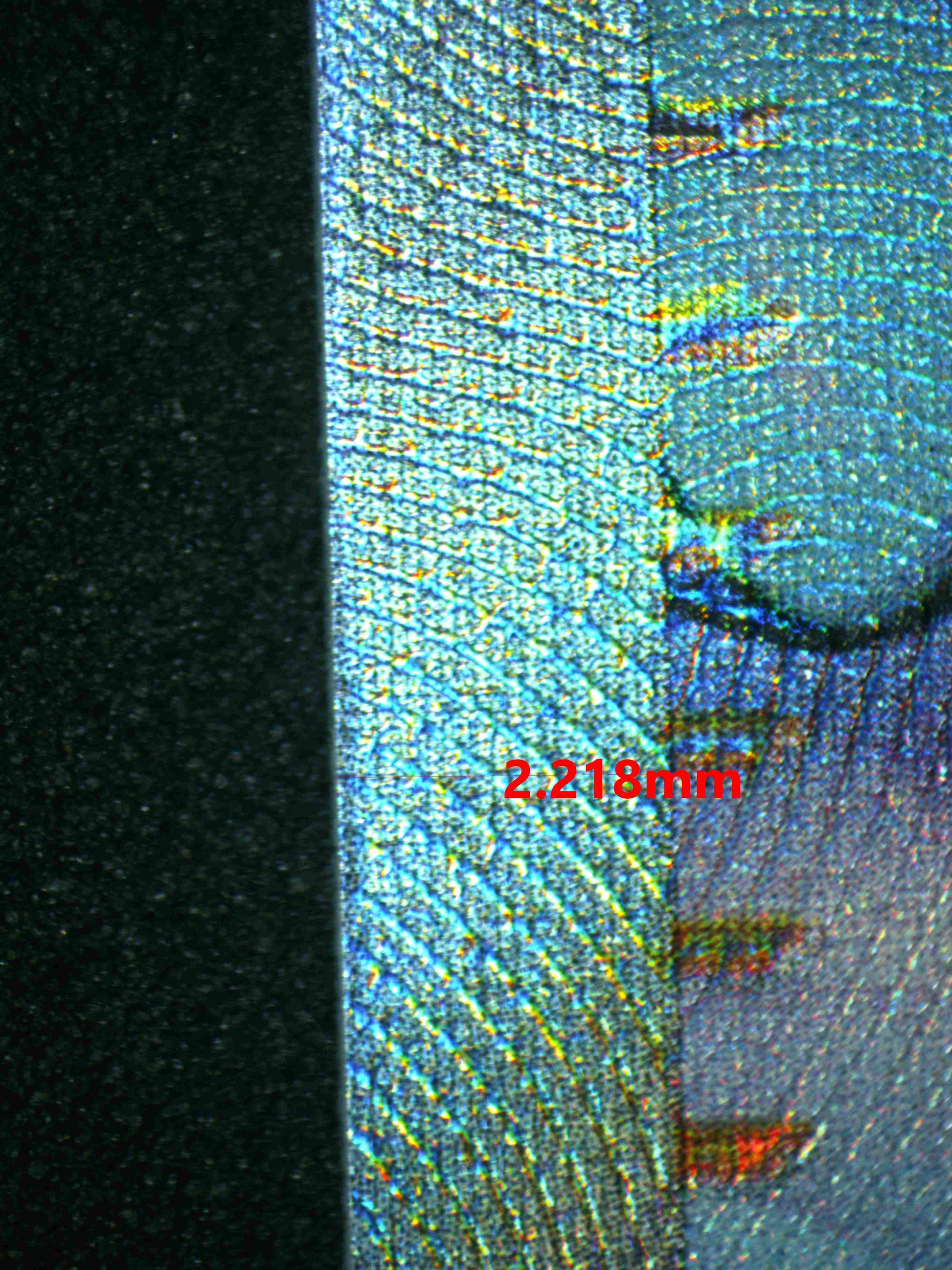 06439 LISIA'S APPEAL Grading Card