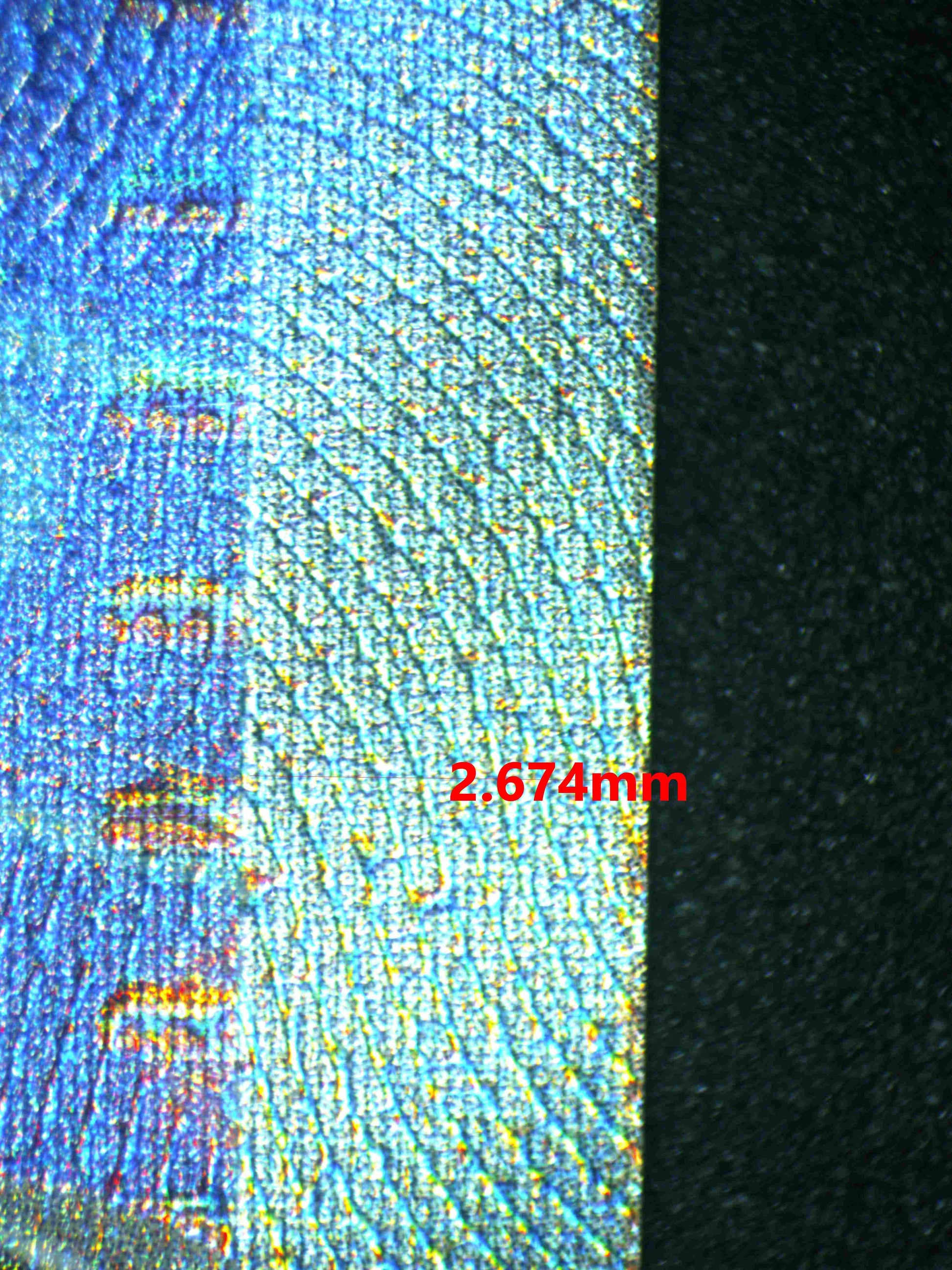 06439 LISIA'S APPEAL Grading Card