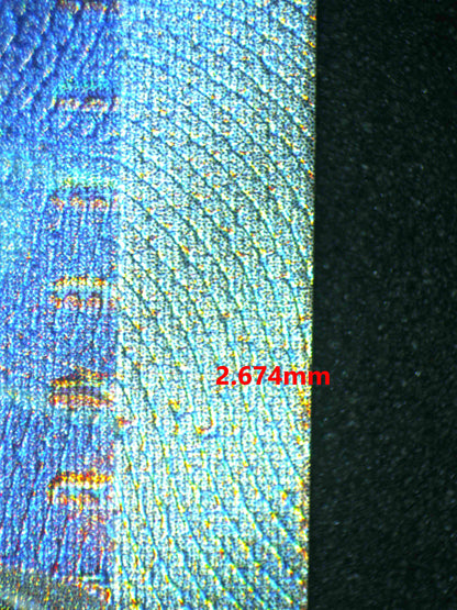 06439 LISIA'S APPEAL Grading Card