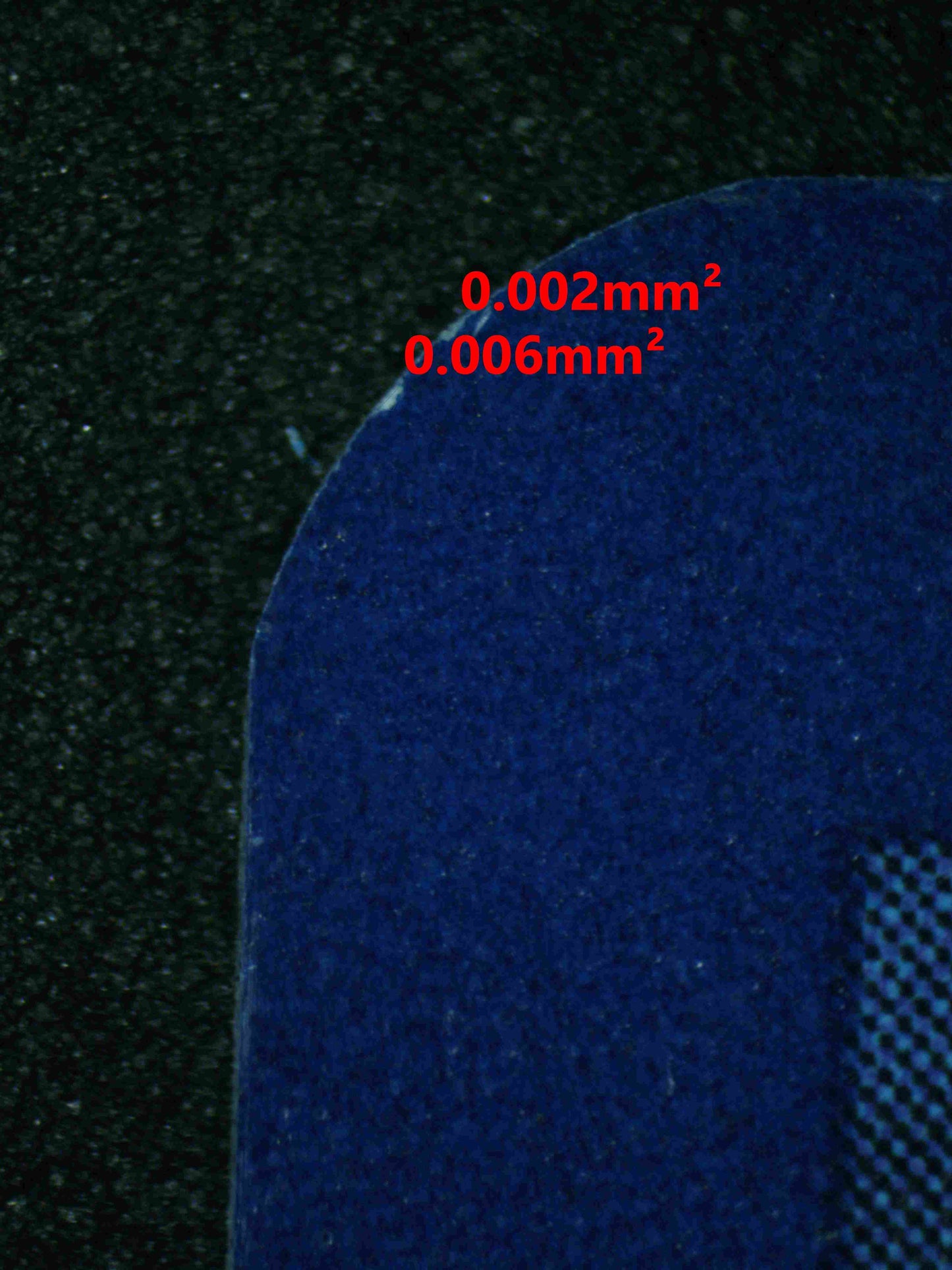 06440 EEVEE Grading Card