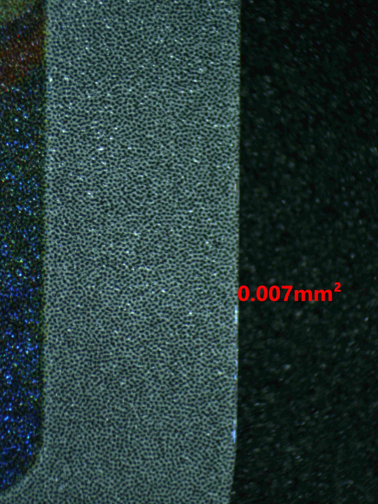 06441 PIKACHU Grading Card