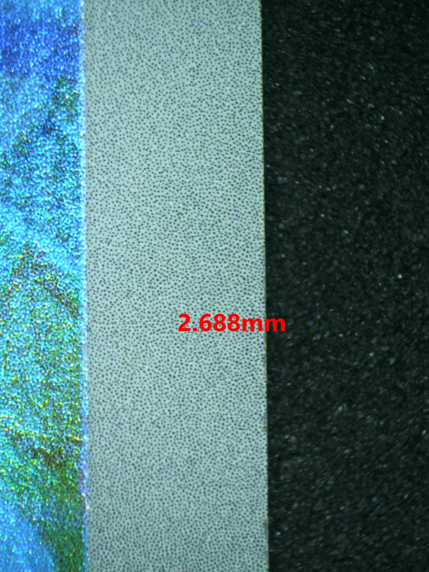 06442 IVYSAUR (SPANISH) Grading Card