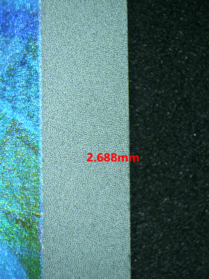 06442 IVYSAUR (SPANISH) Grading Card