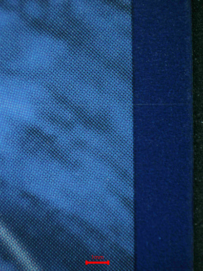 06444 PIKACHU EX (SPANISH) Grading Card