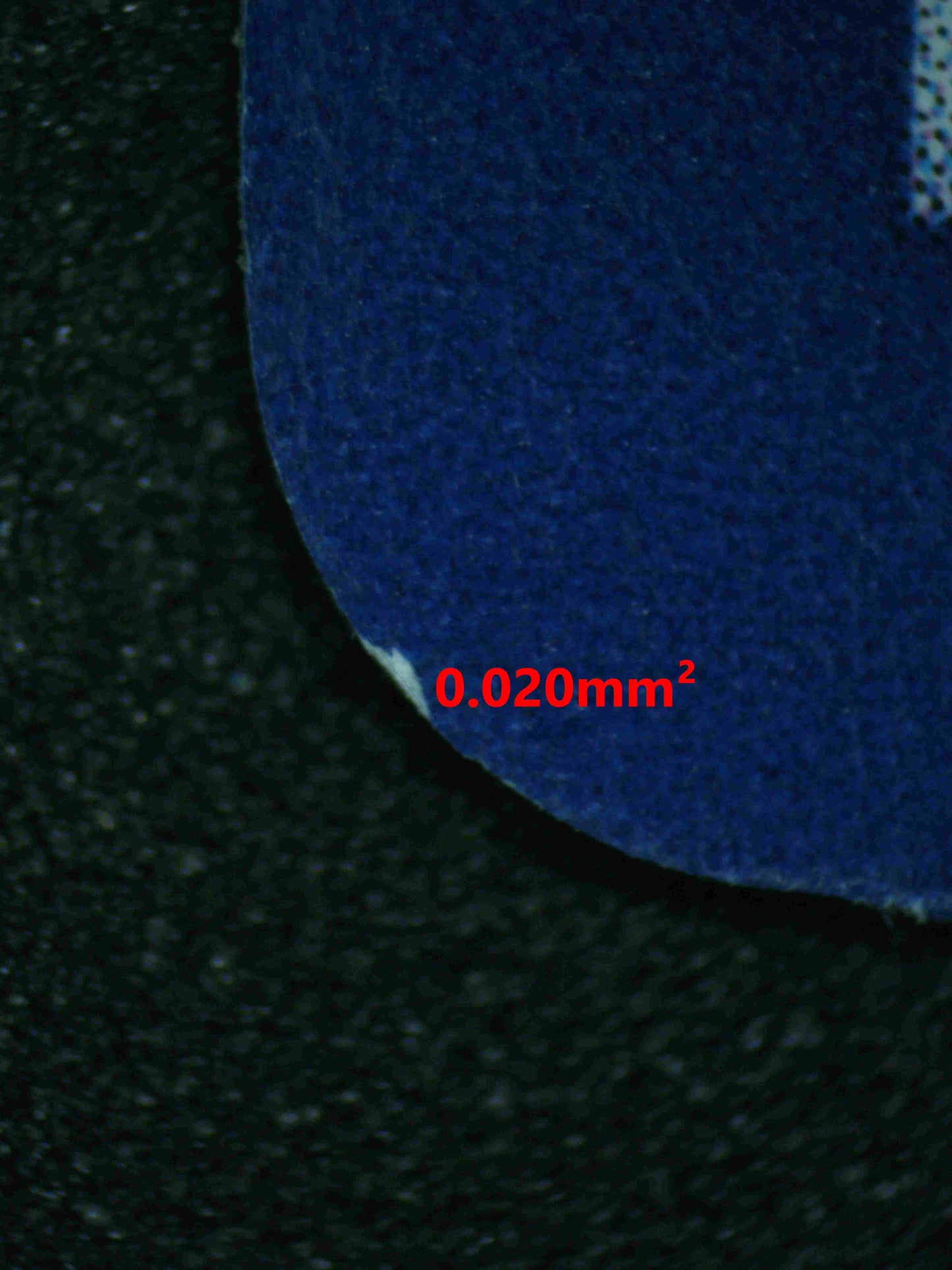 06444 PIKACHU EX (SPANISH) Grading Card