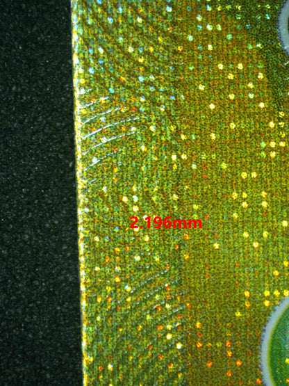 06444 PIKACHU EX (SPANISH) Grading Card