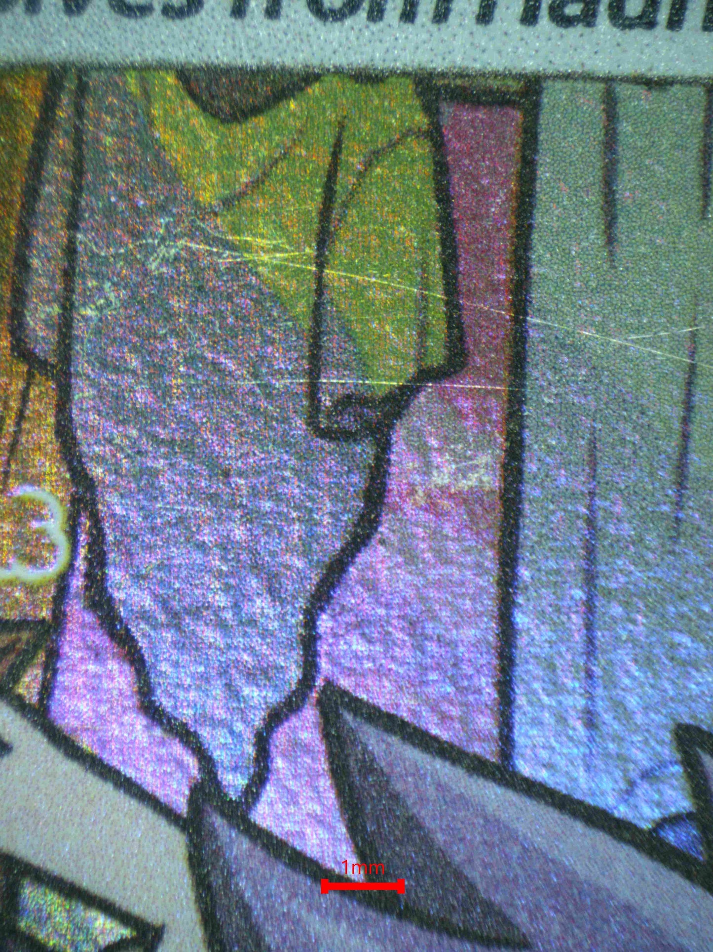 06445 GENGAR Grading Card