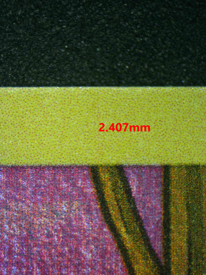 06445 GENGAR Grading Card