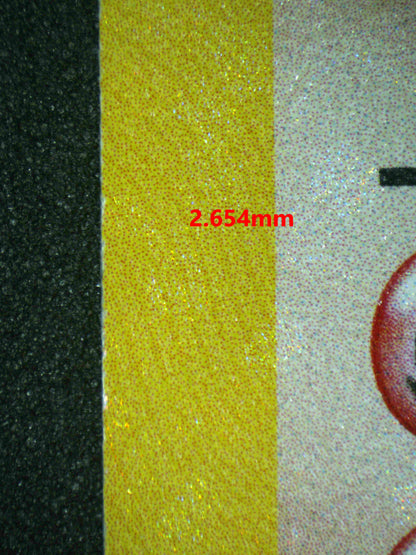 06446 CHARIZARD Grading Card