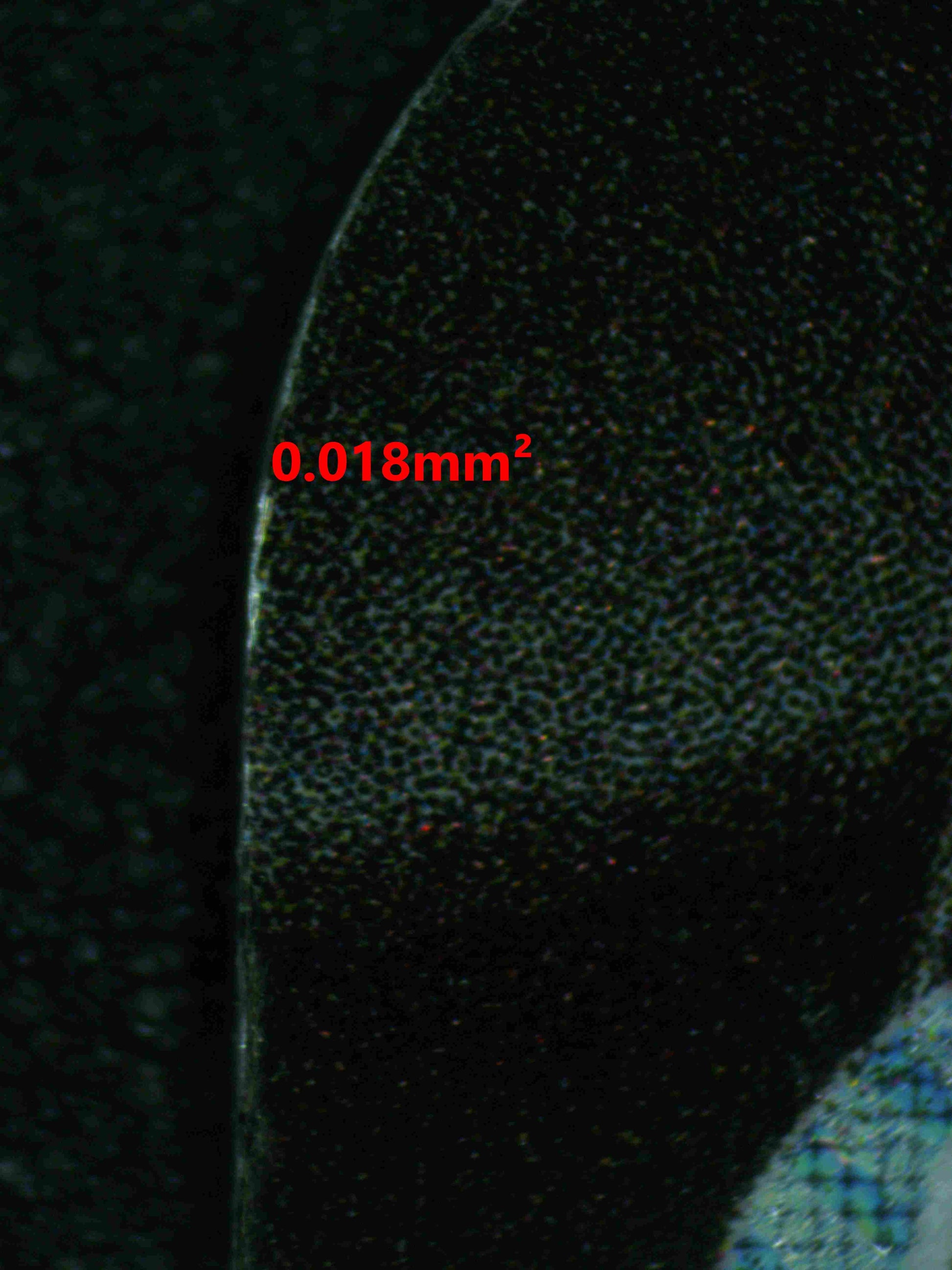 06460 DRAGONITE V Grading Card