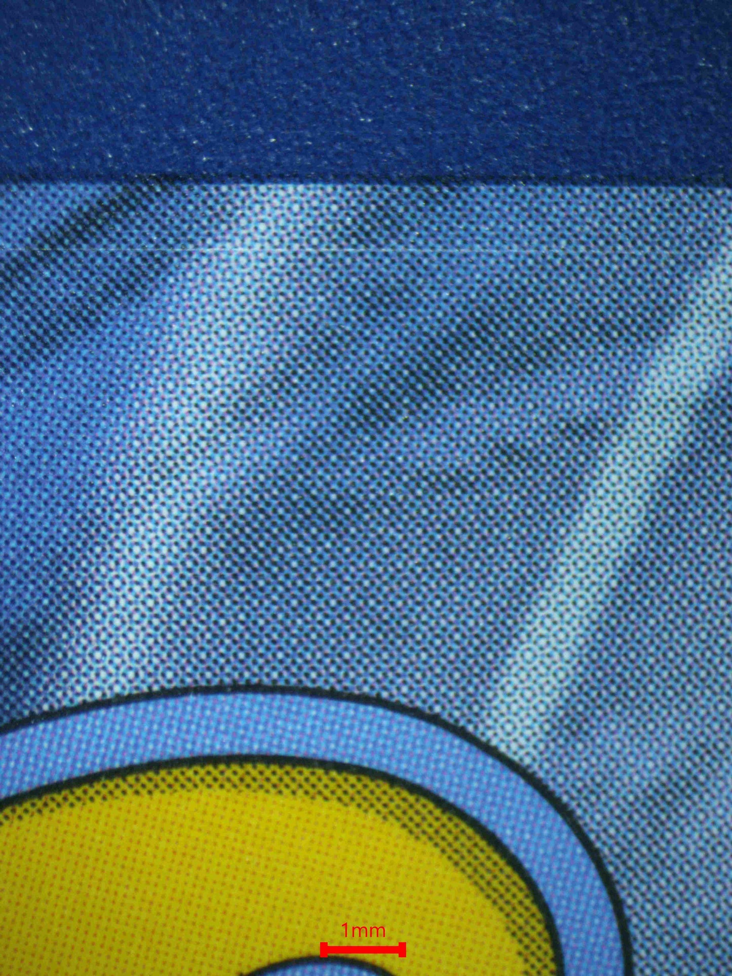 06461 SALAMENCE EX Grading Card