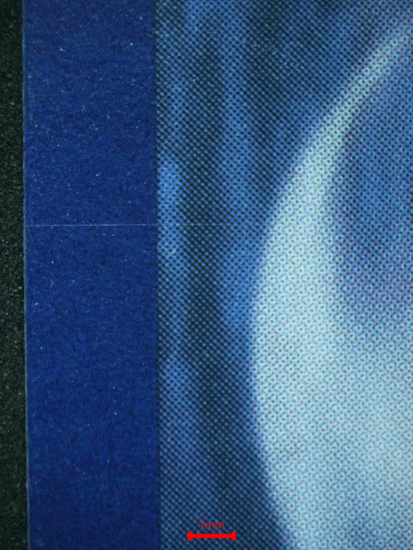 06462 FURRET Grading Card