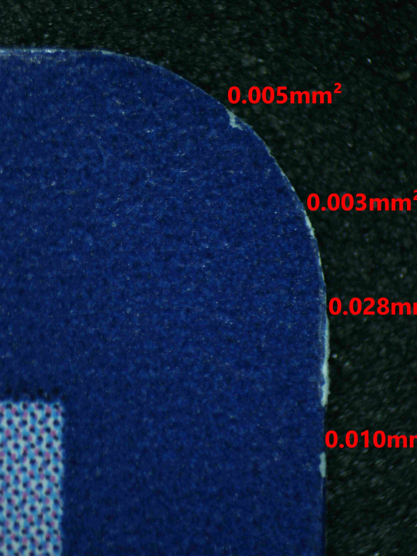 06454 MEW EX Grading Card