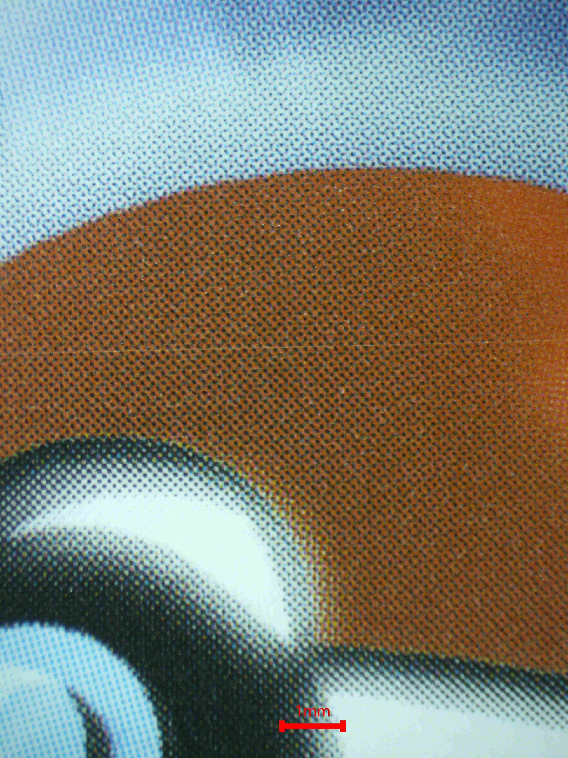 06465 LEAFEON EX Grading Card