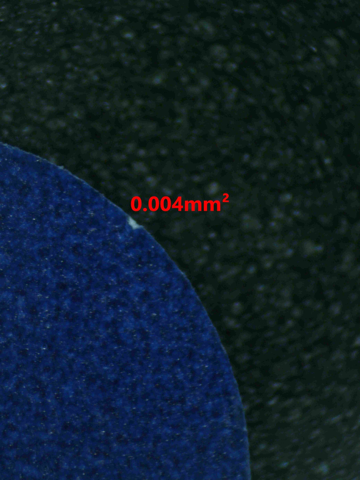 06465 LEAFEON EX Grading Card