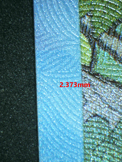 06465 LEAFEON EX Grading Card