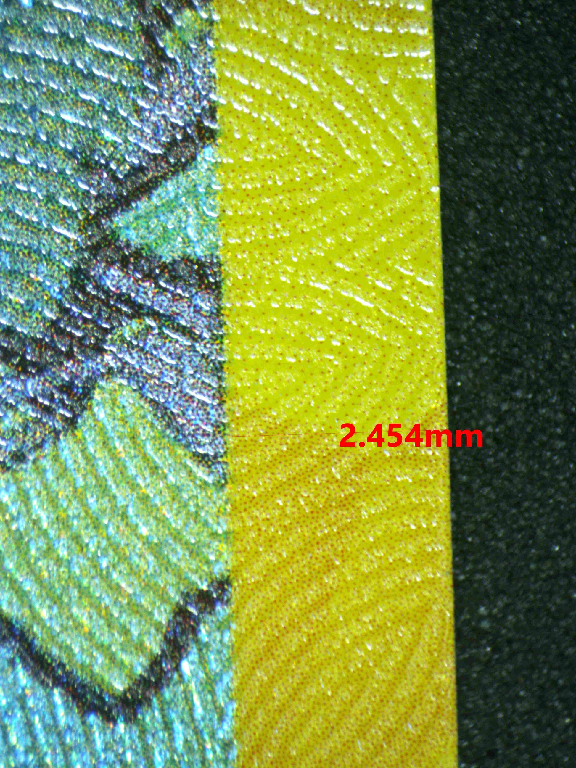 06465 LEAFEON EX Grading Card