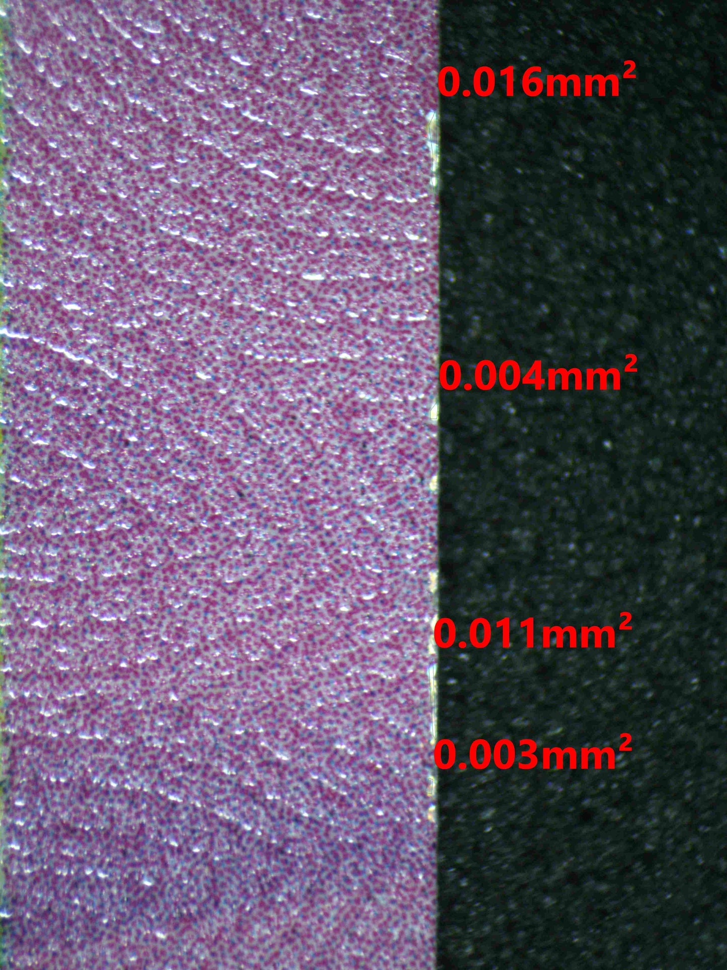 06466 PIKACHU EX Grading Card