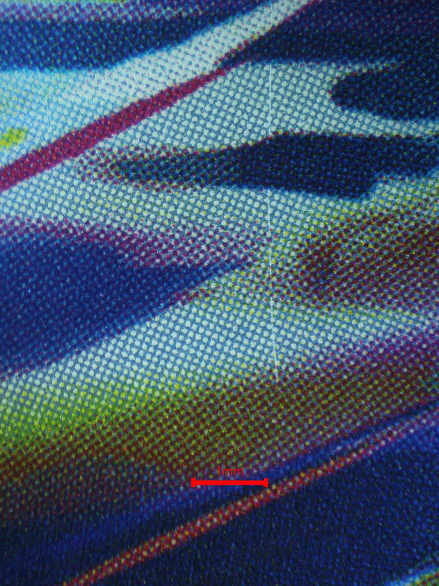 06471 ETHAN'S TYPHLOSION (JAPANESE) Grading Card