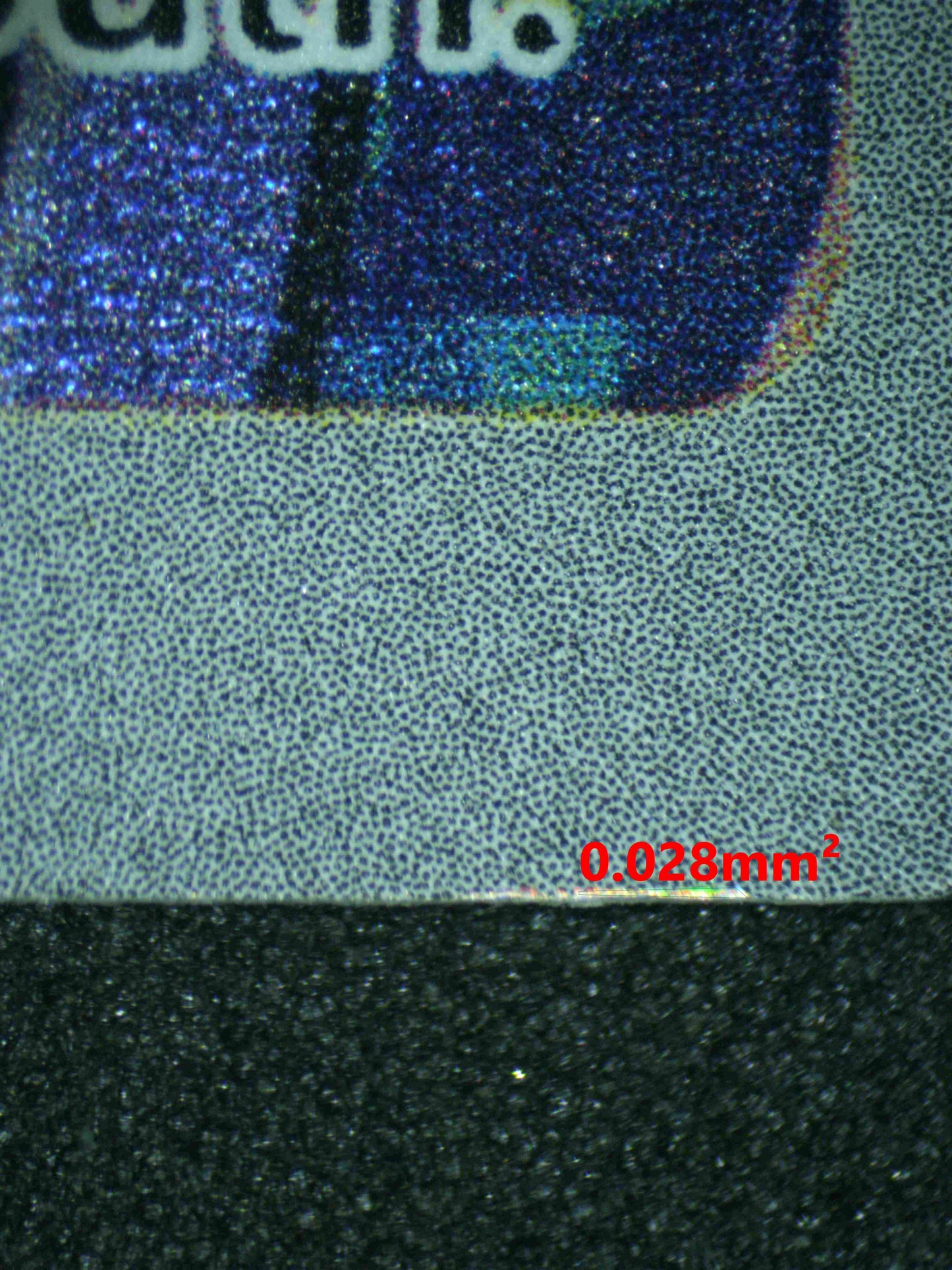 06476 SQUIRTLE Grading Card