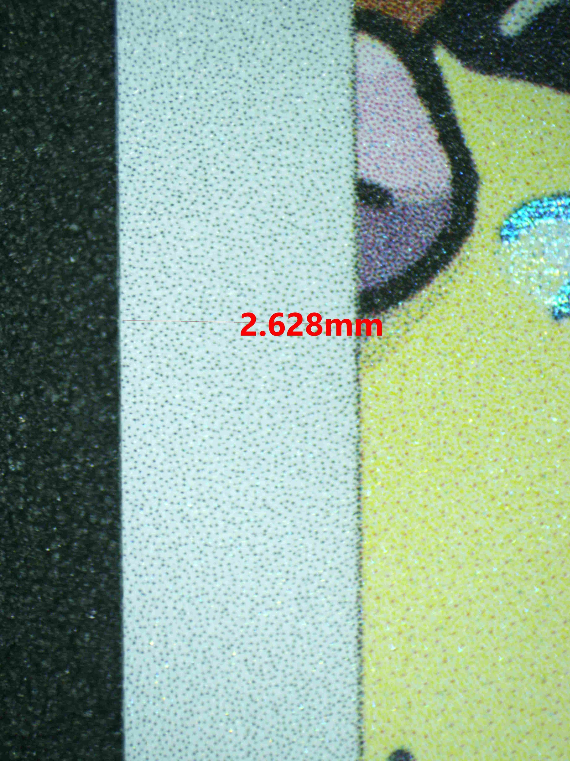 06476 SQUIRTLE Grading Card