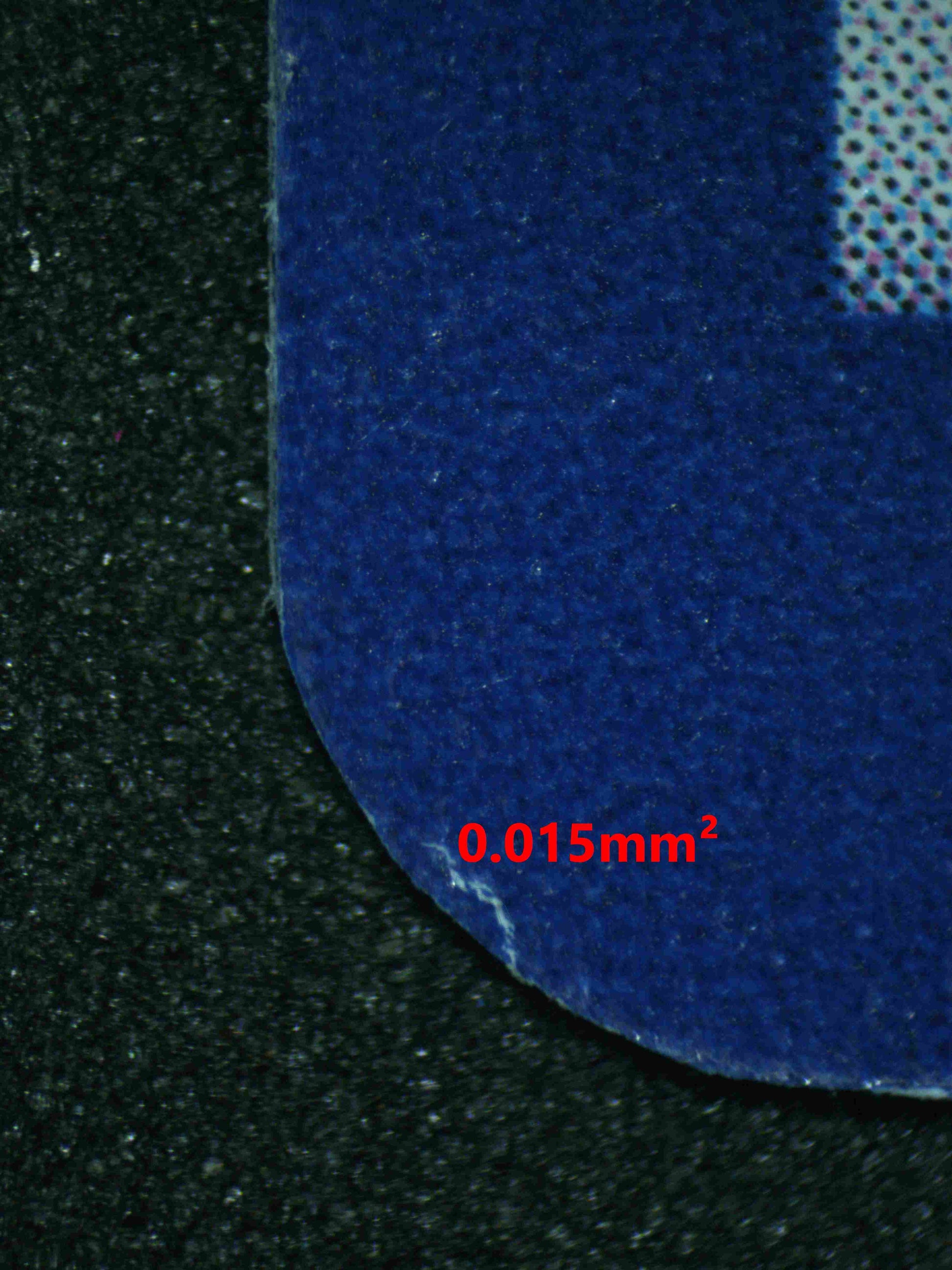 06479 SQUIRTLE (SPANISH) Grading Card