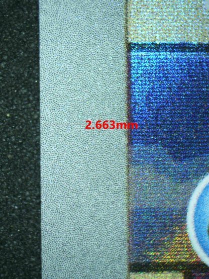 06479 SQUIRTLE (SPANISH) Grading Card