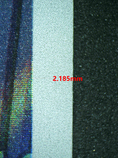 06479 SQUIRTLE (SPANISH) Grading Card