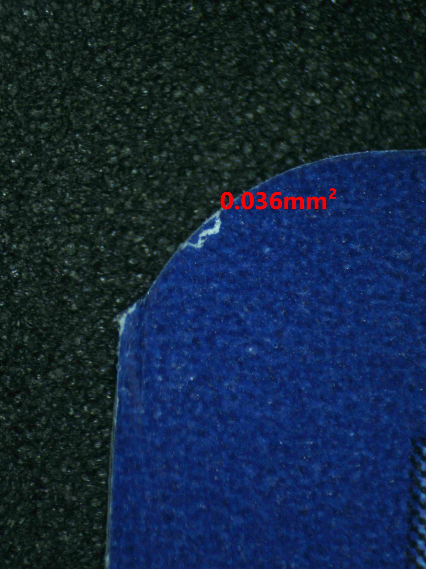 06481 MANTYKE Grading Card