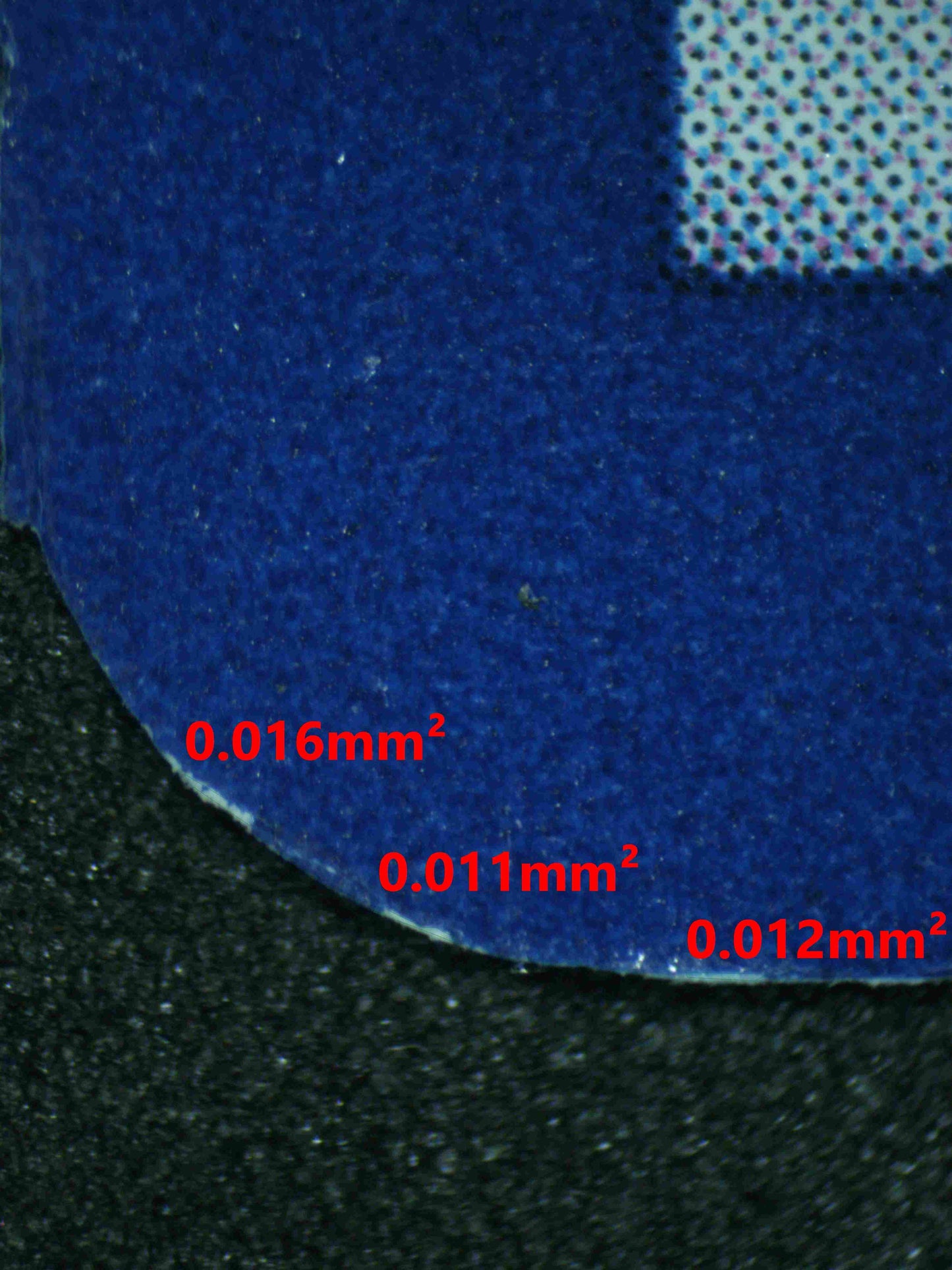 06484 ROARING MOON EX (SPANISH) Grading Card