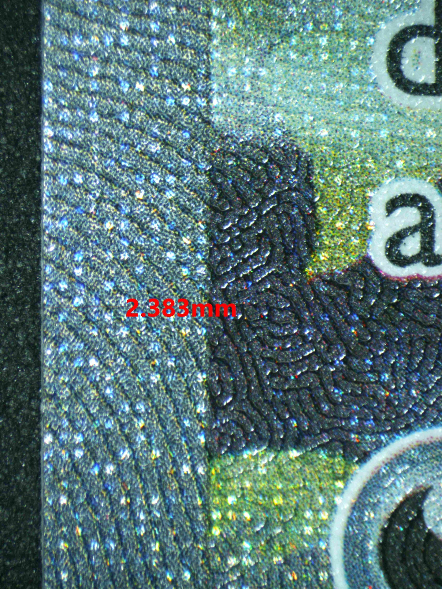 06484 ROARING MOON EX (SPANISH) Grading Card