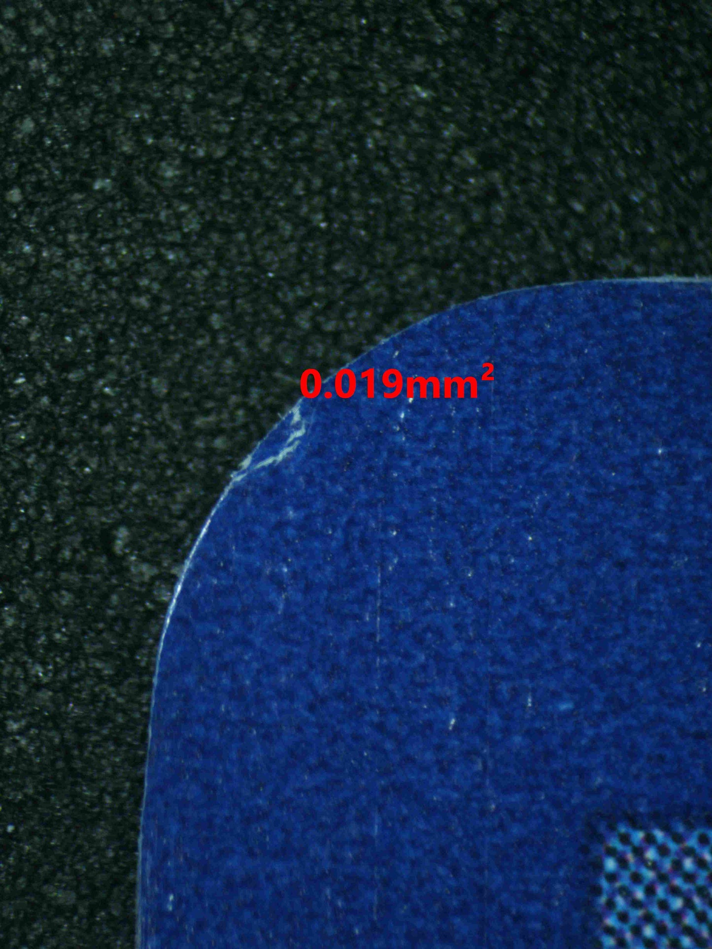 06489 IONO'S BELLIBOLT EX Grading Card