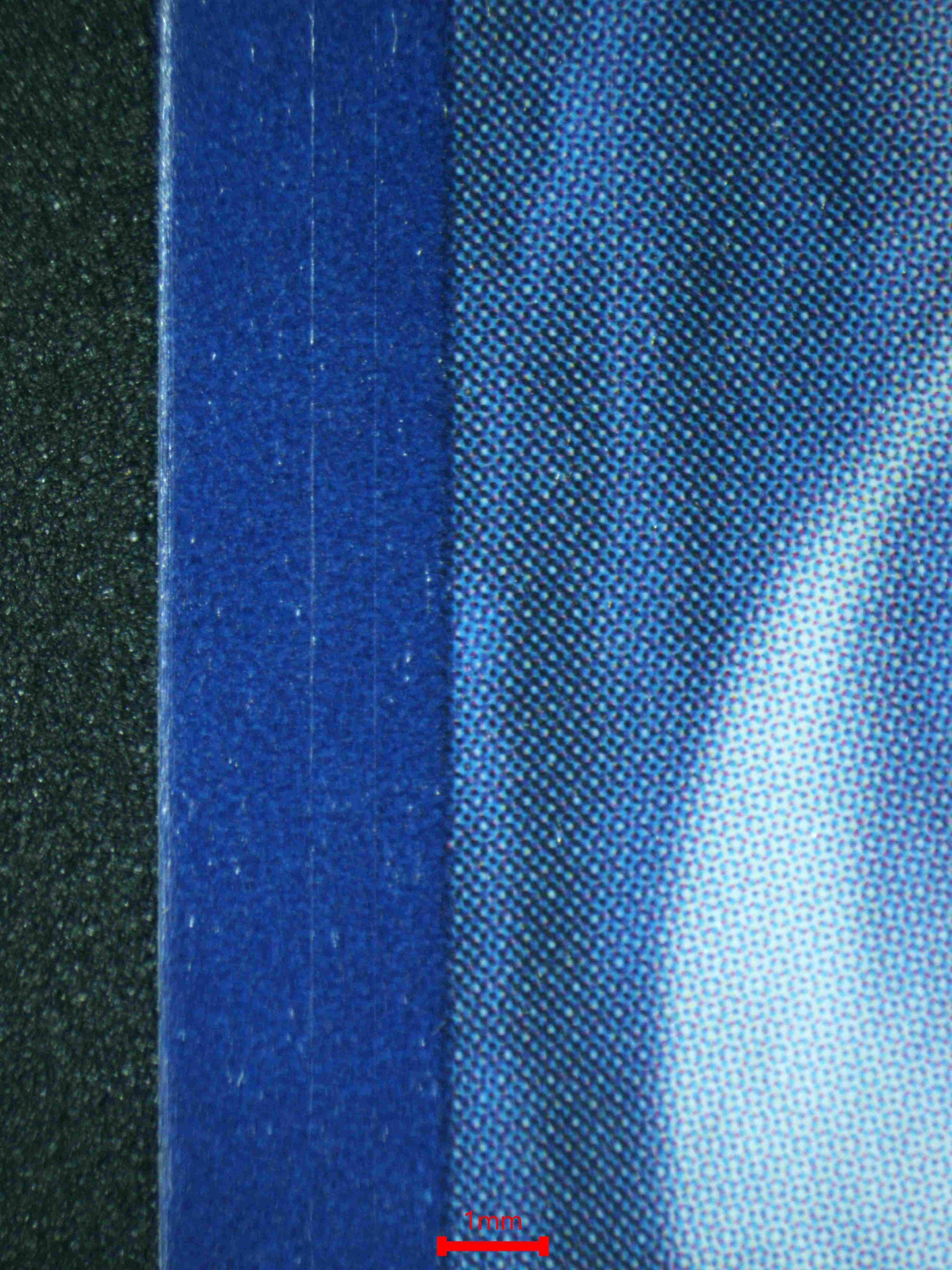 06489 IONO'S BELLIBOLT EX Grading Card