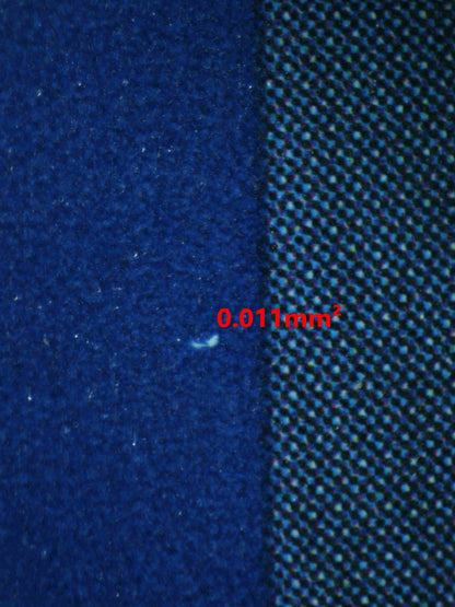 06490 N'S ZOROARK EX Grading Card