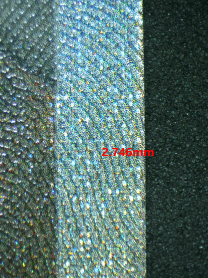 06490 N'S ZOROARK EX Grading Card