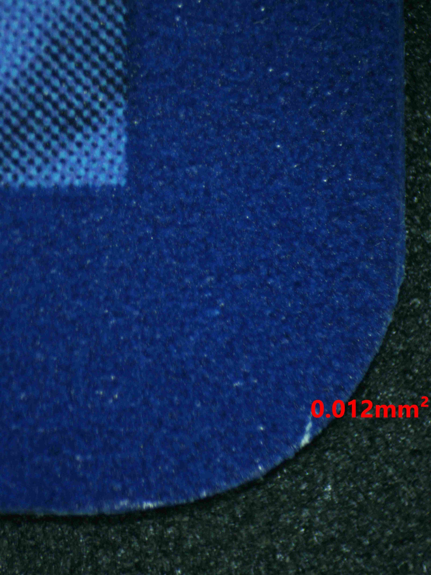 06493 MILOTIC EX Grading Card