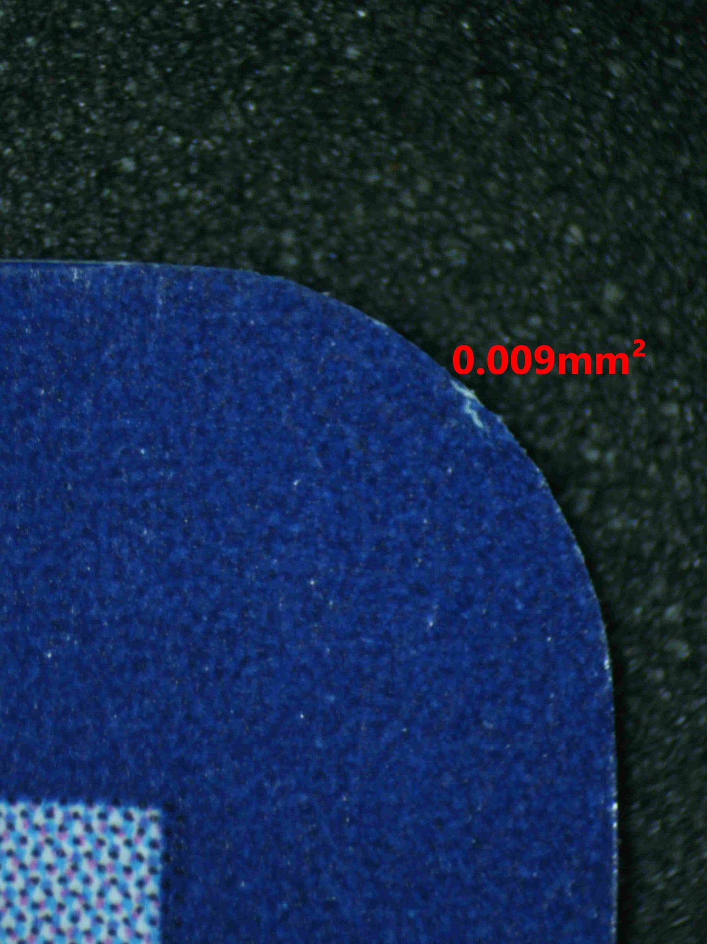 06494 LEAFEON EX Grading Card