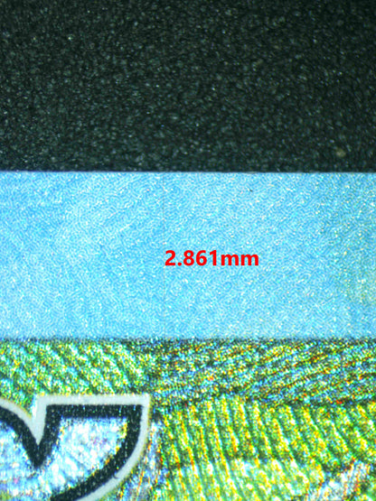 06494 LEAFEON EX Grading Card