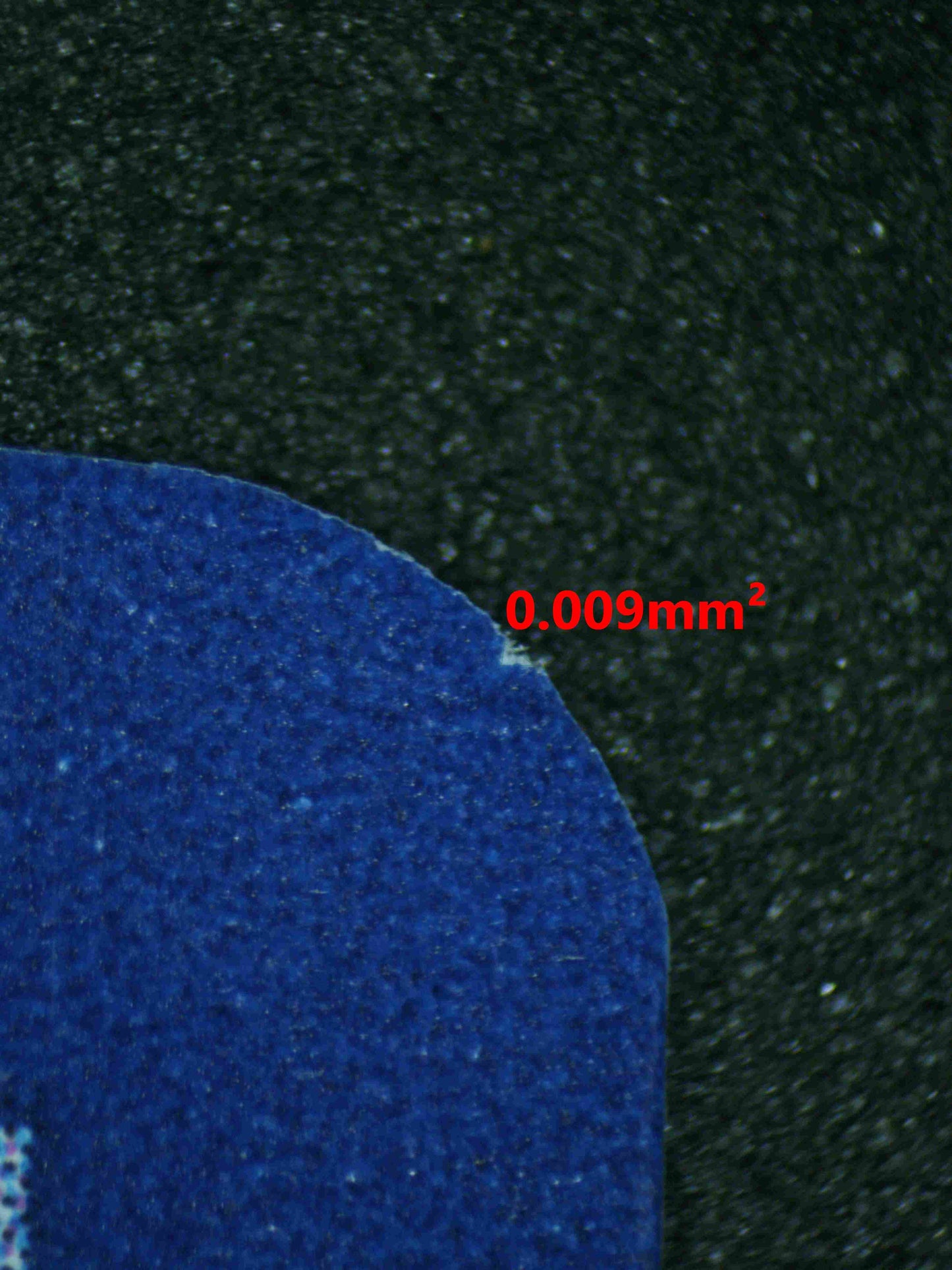 06495 EEVEE Grading Card