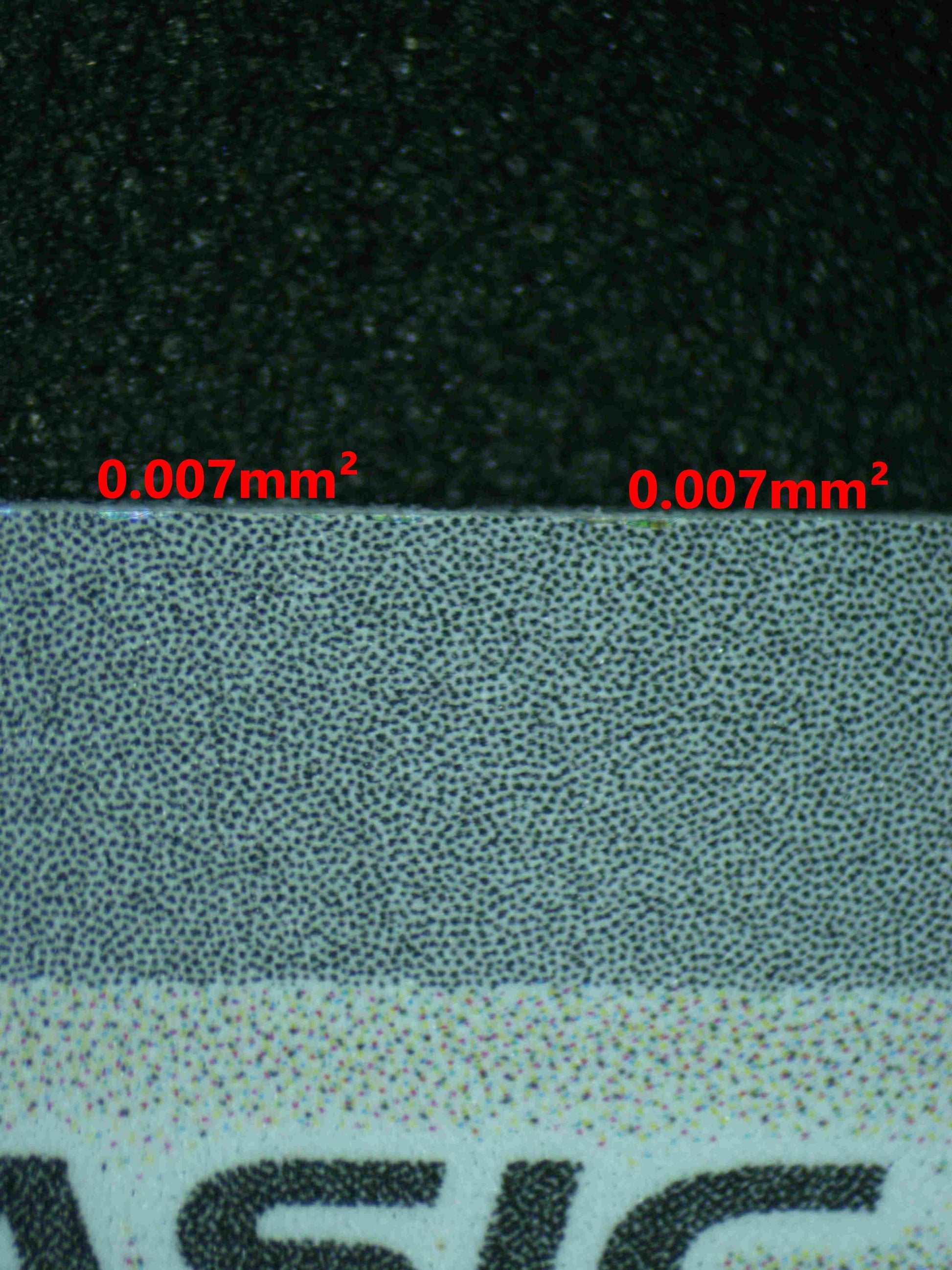 06495 EEVEE Grading Card