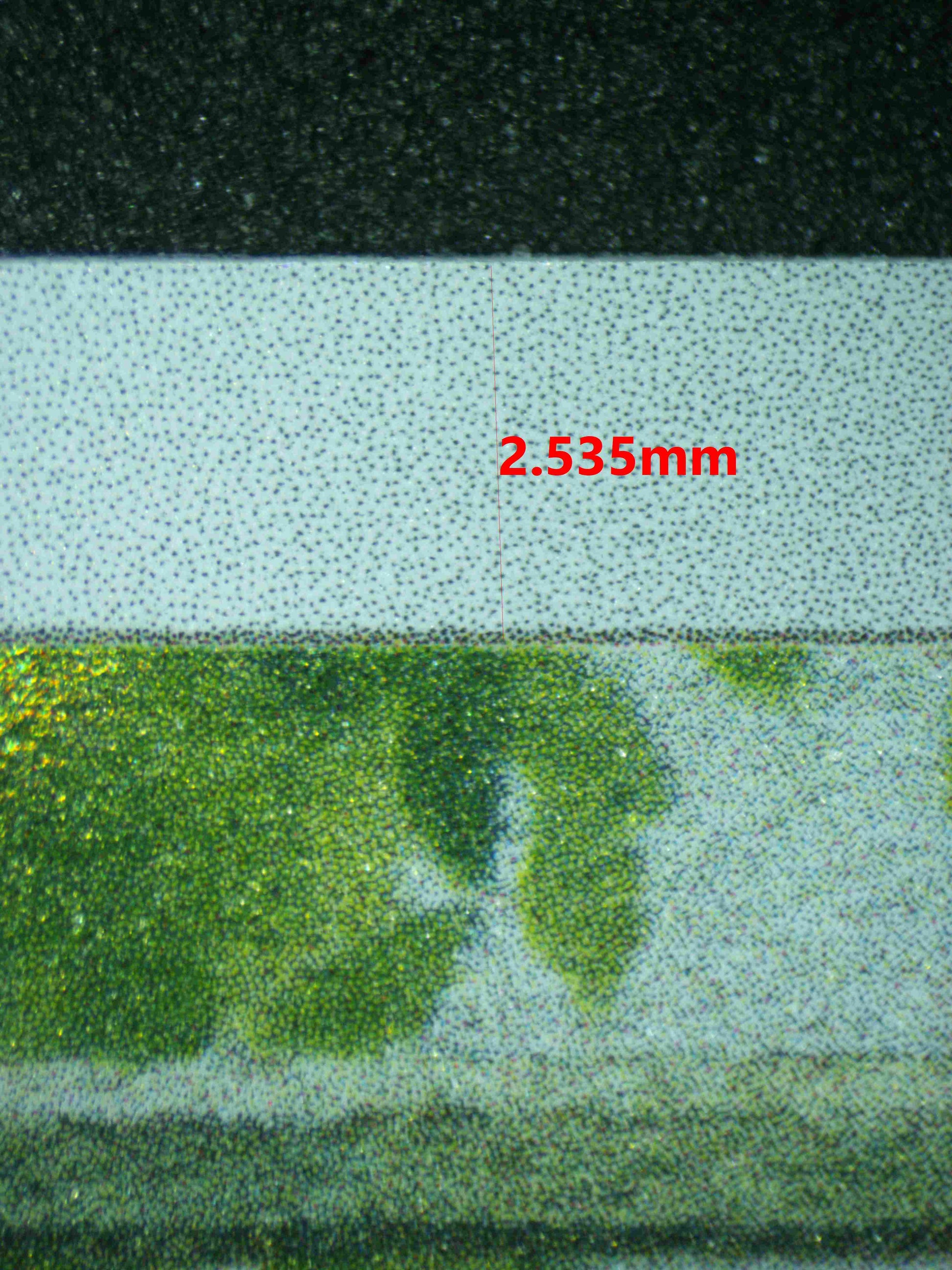 06495 EEVEE Grading Card